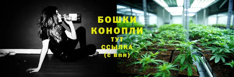 где продают наркотики  Уржум  МАРИХУАНА SATIVA & INDICA 